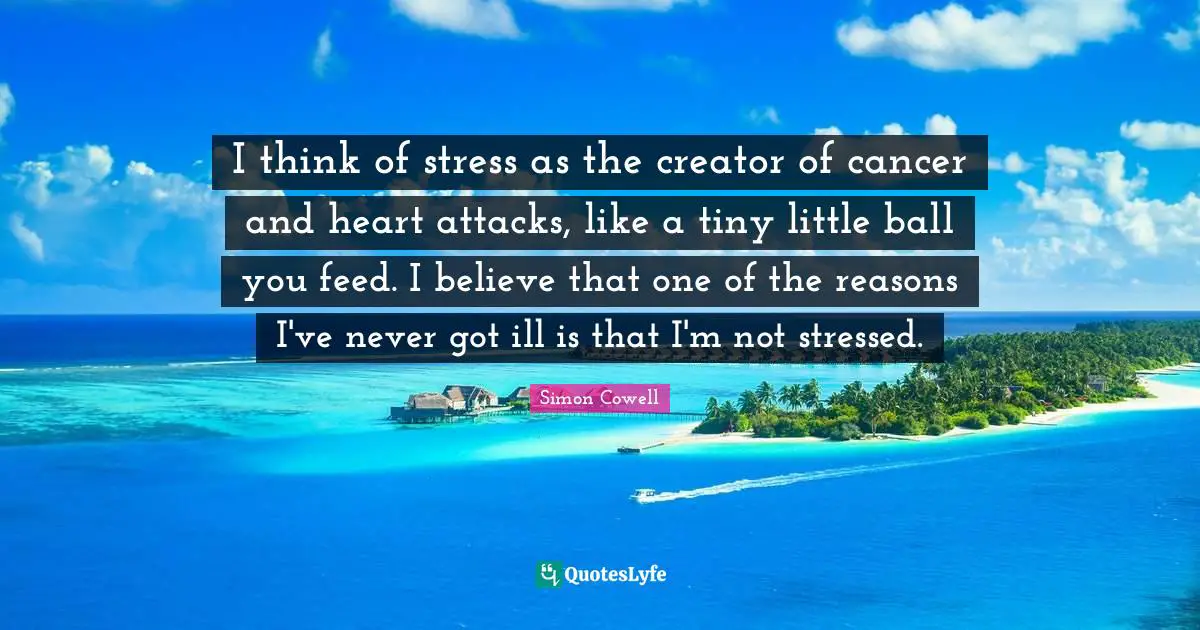 I think of stress as the creator of cancer and heart attacks, like a tiny little ball you feed. I believe that one of the reasons I've never got ill is that I'm not stressed.