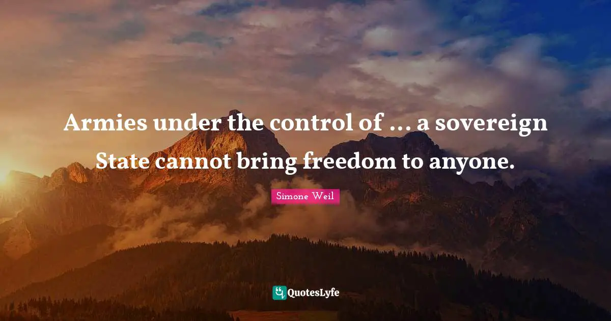 Armies under the control of ... a sovereign State cannot bring freedom to anyone.