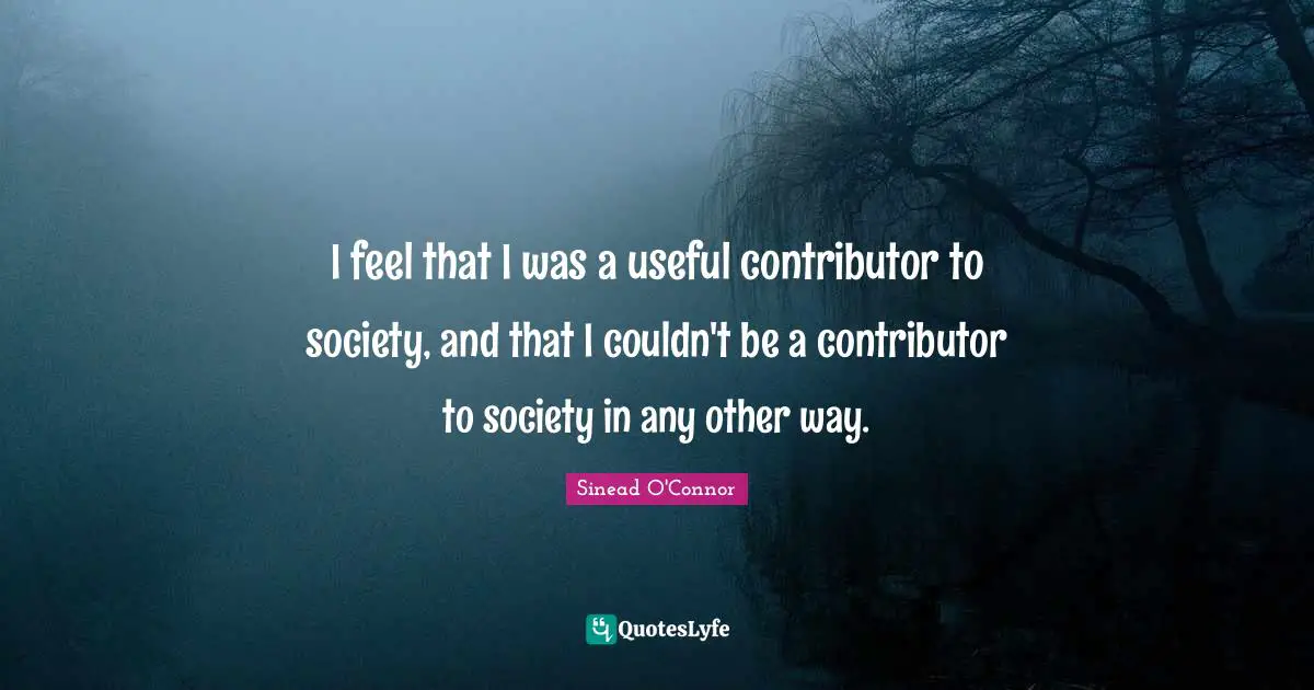 I feel that I was a useful contributor to society, and that I couldn't be a contributor to society in any other way.
