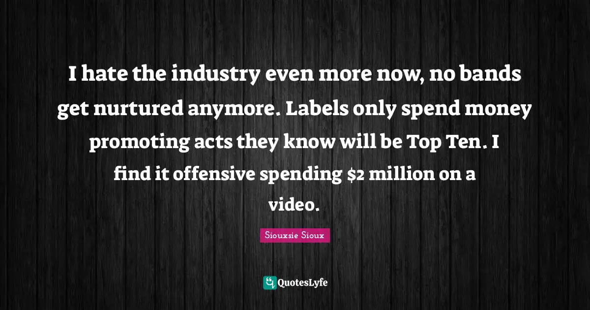 I hate the industry even more now, no bands get nurtured anymore. Labels only spend money promoting acts they know will be Top Ten. I find it offensive spending $2 million on a video.