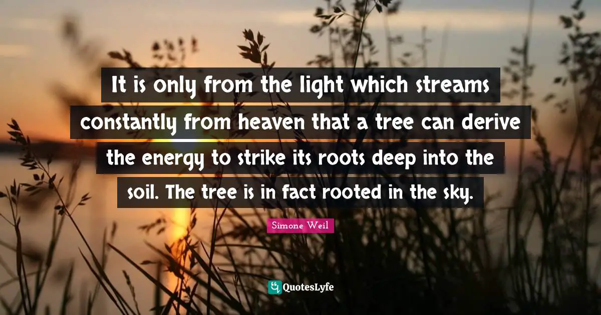 It is only from the light which streams constantly from heaven that a tree can derive the energy to strike its roots deep into the soil. The tree is in fact rooted in the sky.