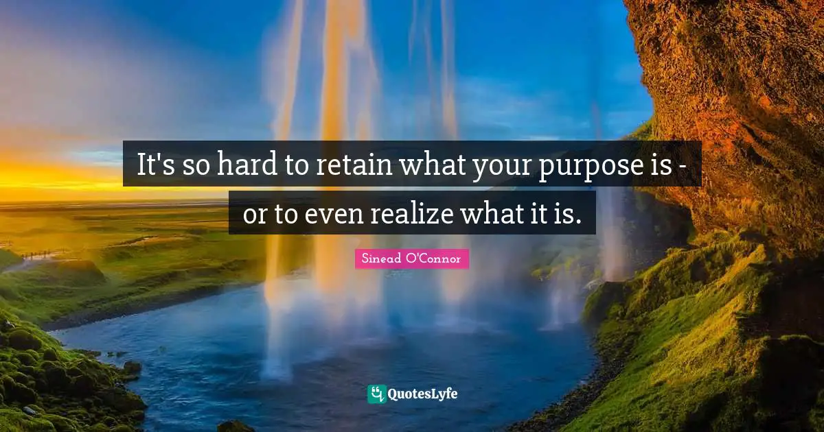 It's so hard to retain what your purpose is - or to even realize what it is.