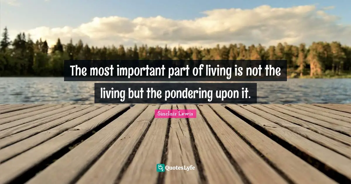The most important part of living is not the living but the pondering upon it.