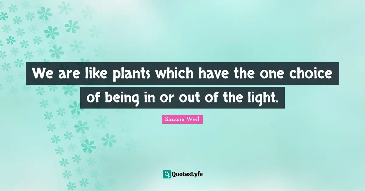 We are like plants which have the one choice of being in or out of the light.