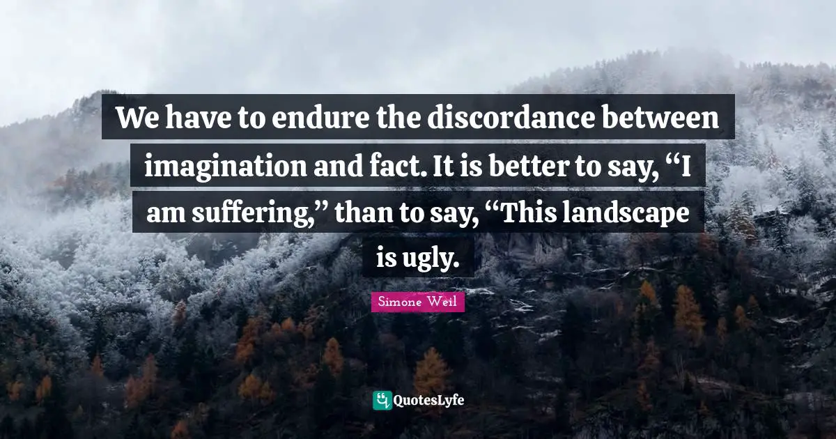 We have to endure the discordance between imagination and fact. It is better to say, “I am suffering,” than to say, “This landscape is ugly.