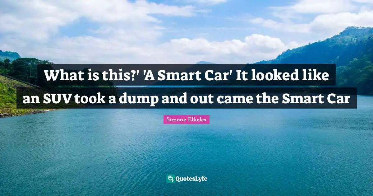 What is this?' 'A Smart Car' It looked like an SUV took a dump and out came the Smart Car