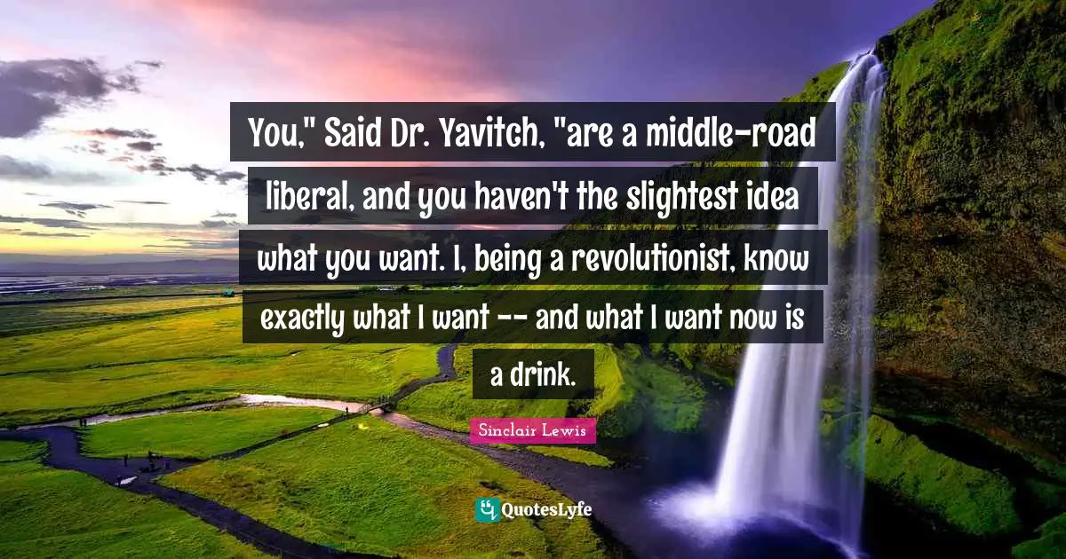 You," Said Dr. Yavitch, "are a middle-road liberal, and you haven't the slightest idea what you want. I, being a revolutionist, know exactly what I want -- and what I want now is a drink.