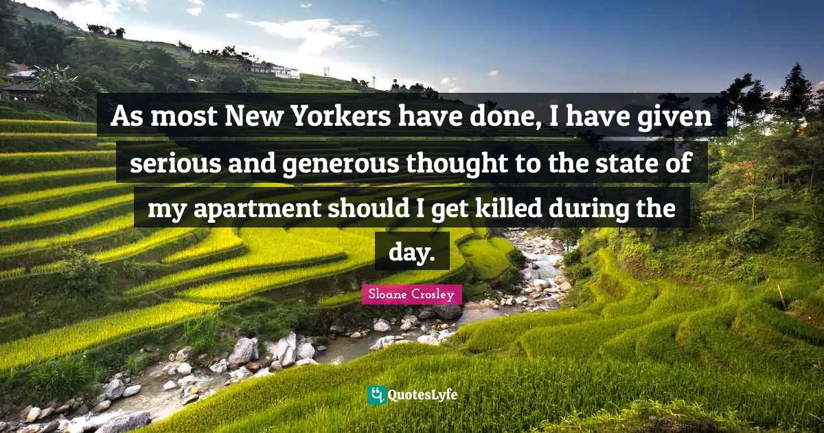 As most New Yorkers have done, I have given serious and generous thought to the state of my apartment should I get killed during the day.