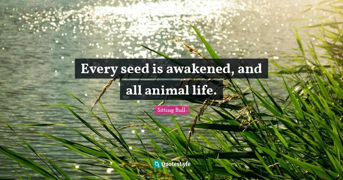 Sitting Bull Quotes: "Every seed is awakened, and all animal life."