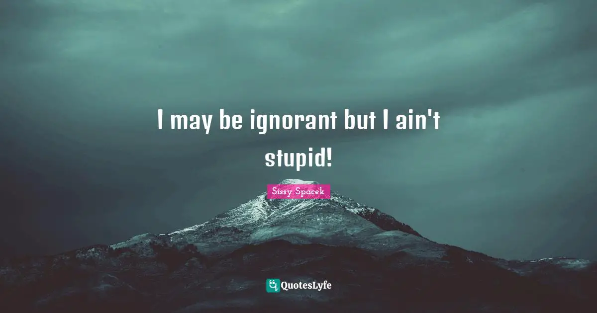 I may be ignorant but I ain't stupid!