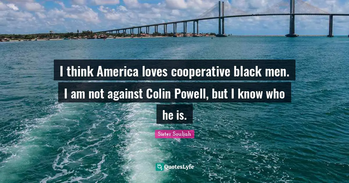 I think America loves cooperative black men. I am not against Colin Powell, but I know who he is.