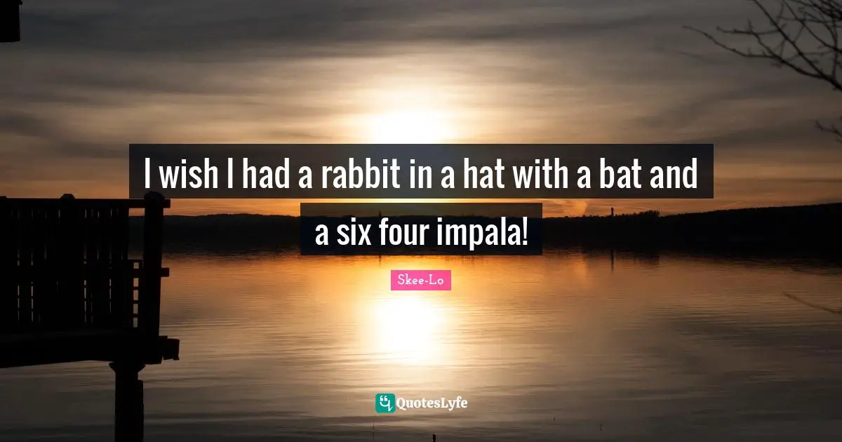 I wish I had a rabbit in a hat with a bat and a six four impala!