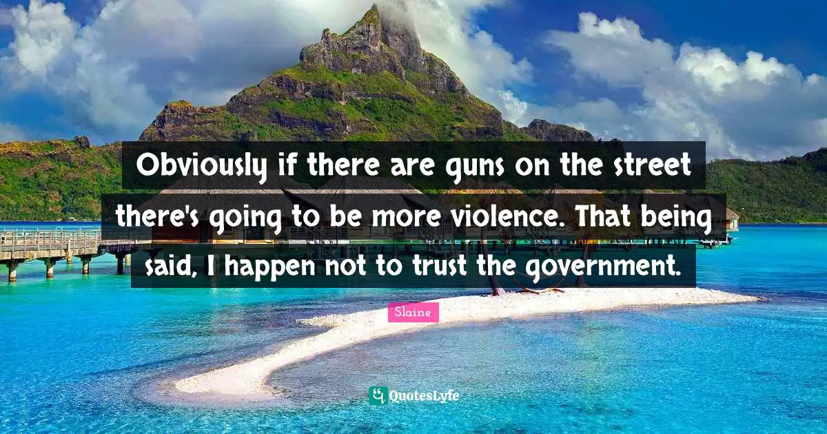 Obviously if there are guns on the street there's going to be more violence. That being said, I happen not to trust the government.