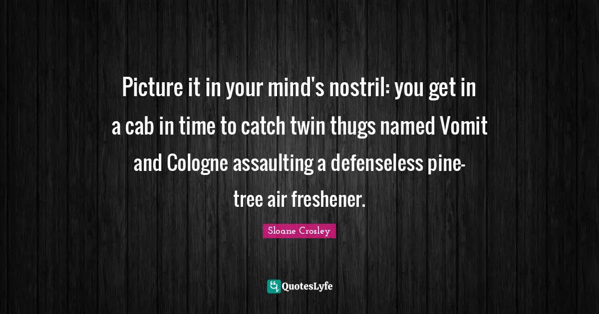 Picture it in your mind's nostril: you get in a cab in time to catch twin thugs named Vomit and Cologne assaulting a defenseless pine-tree air freshener.