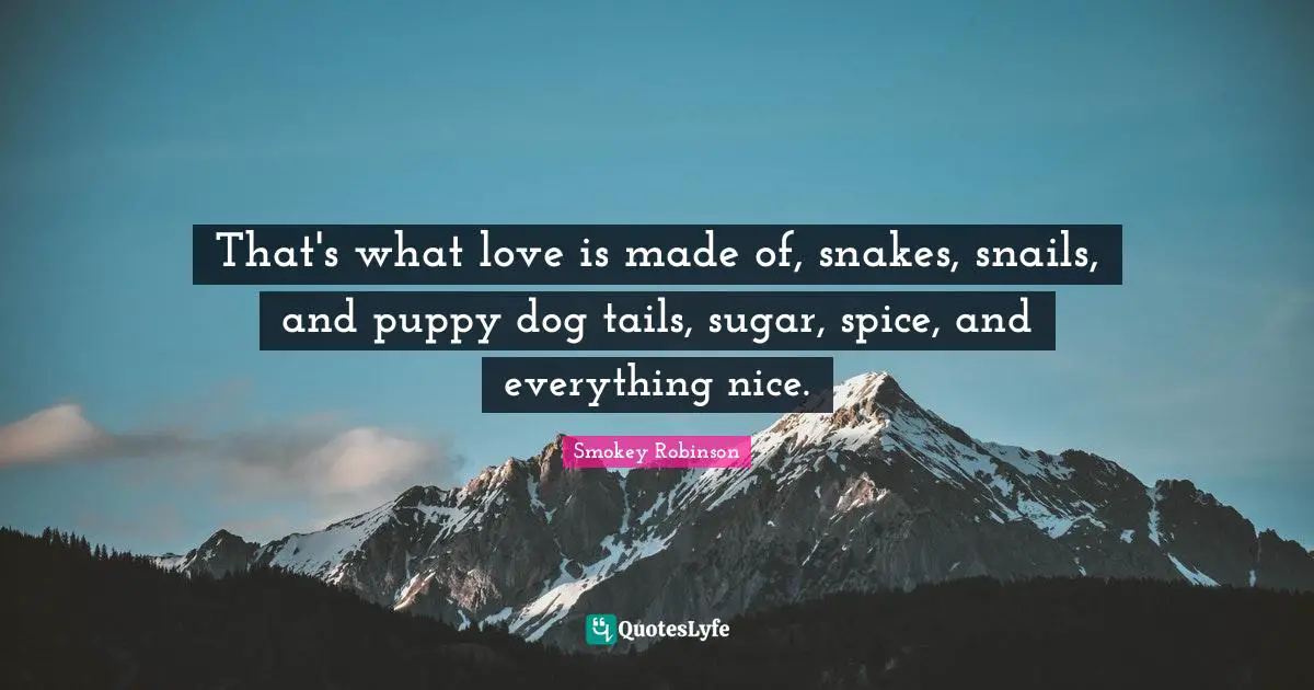 That's what love is made of, snakes, snails, and puppy dog tails, sugar, spice, and everything nice.