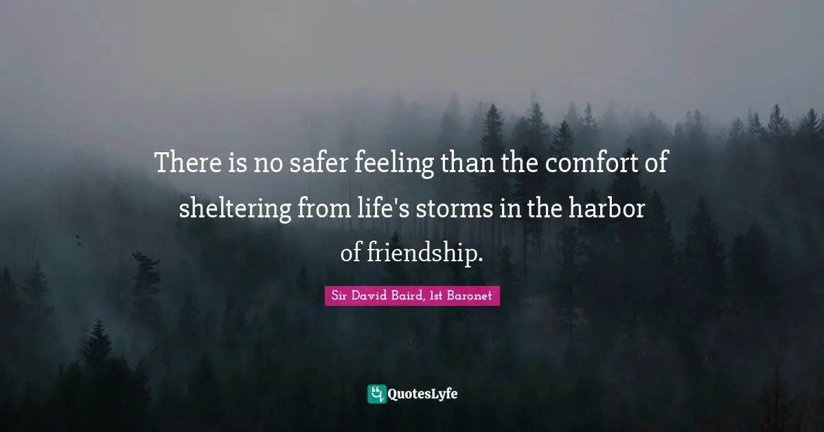 There is no safer feeling than the comfort of sheltering from life's storms in the harbor of friendship.