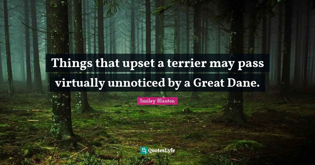 Things that upset a terrier may pass virtually unnoticed by a Great Dane.