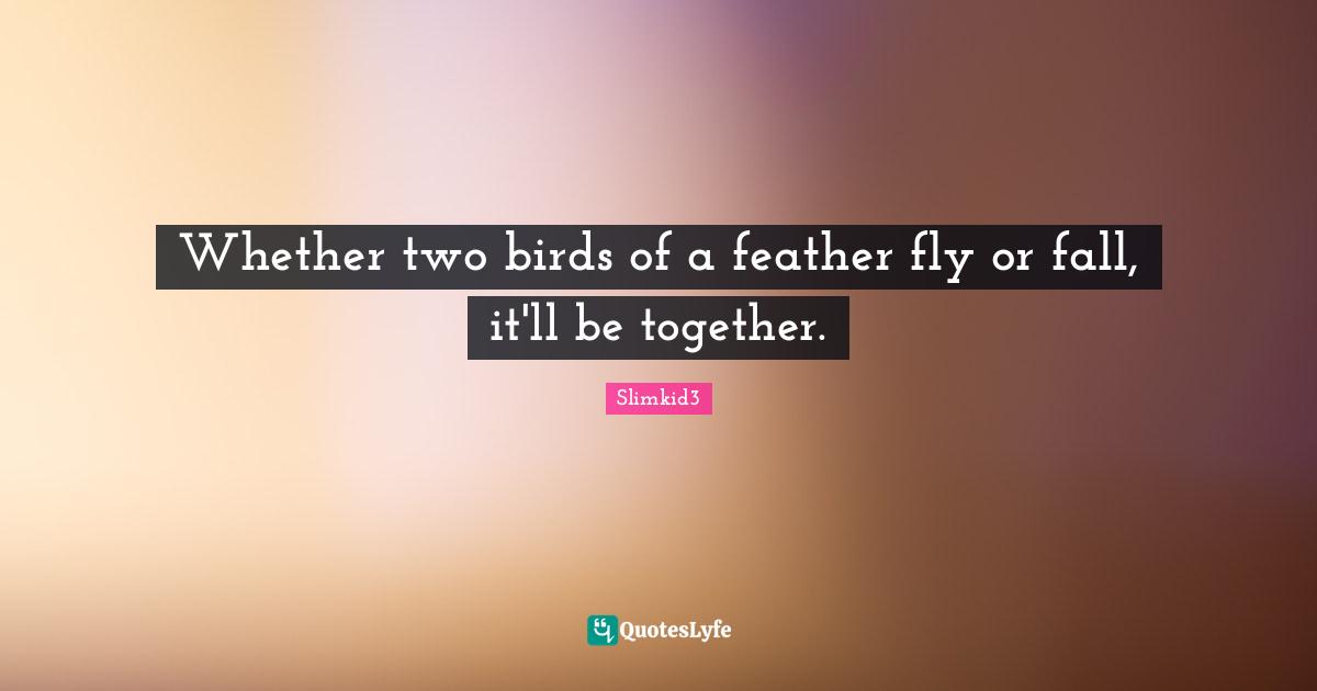 Whether two birds of a feather fly or fall, it'll be together.