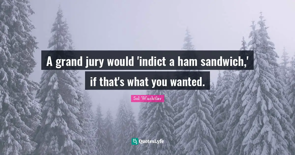 A grand jury would 'indict a ham sandwich,' if that's what you wanted.