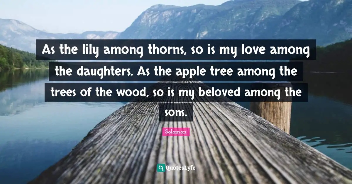As the lily among thorns, so is my love among the daughters. As the apple tree among the trees of the wood, so is my beloved among the sons.