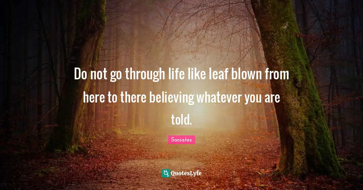 Do not go through life like leaf blown from here to there believing whatever you are told.