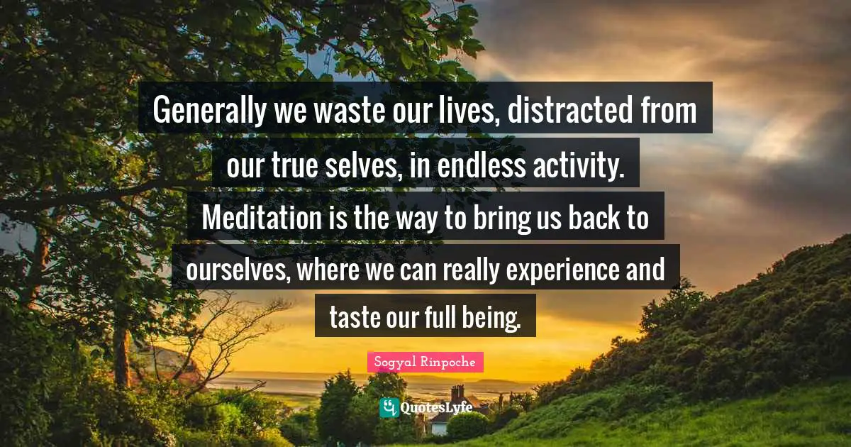Distracted Quotes: "Generally we waste our lives, distracted from our true selves, in endless activity. Meditation is the way to bring us back to ourselves, where we can really experience and taste our full being."