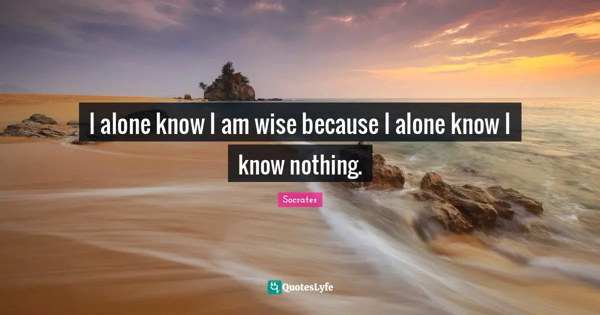 I alone know I am wise because I alone know I know nothing.