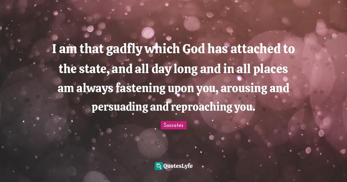 I am that gadfly which God has attached to the state, and all day long and in all places am always fastening upon you, arousing and persuading and reproaching you.