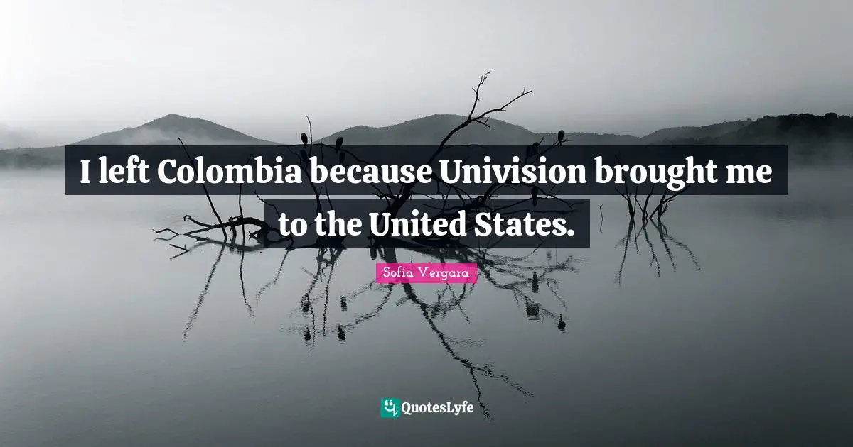 Sofia Vergara Quotes: "I left Colombia because Univision brought me to the United States."