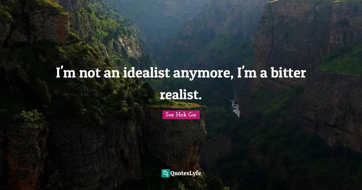 I'm not an idealist anymore, I'm a bitter realist.