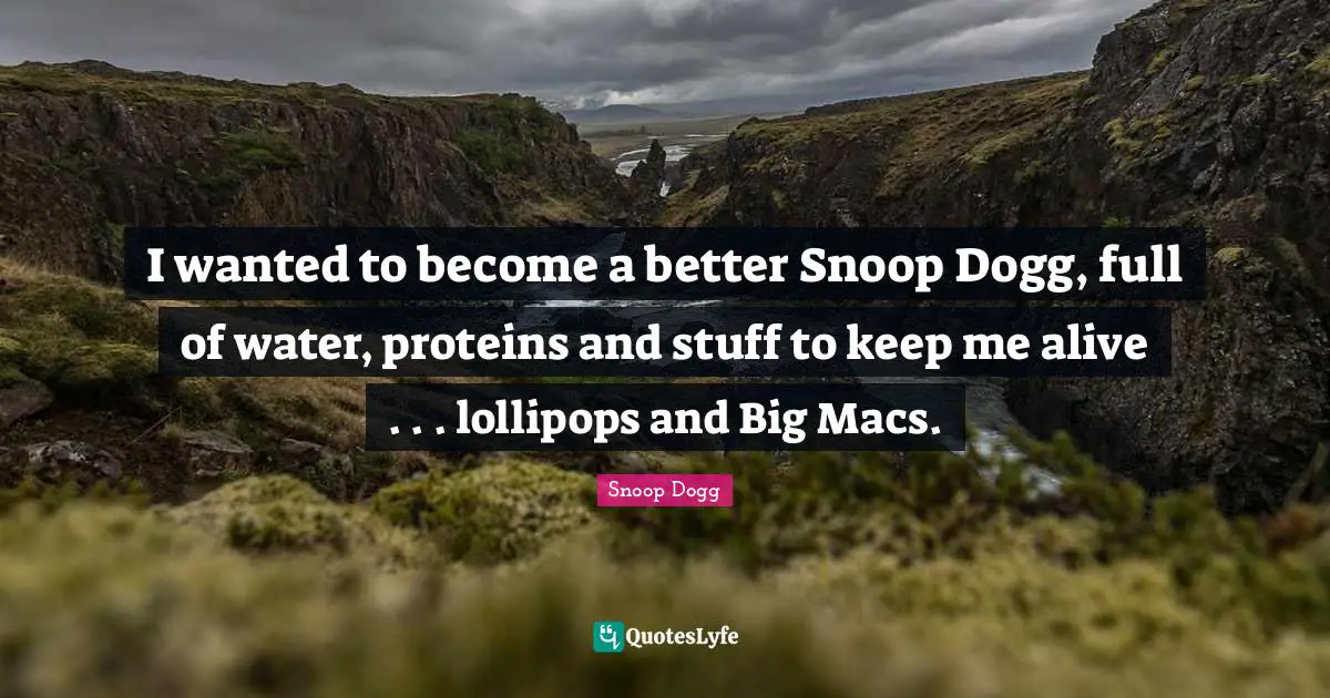 I wanted to become a better Snoop Dogg, full of water, proteins and stuff to keep me alive . . . lollipops and Big Macs.