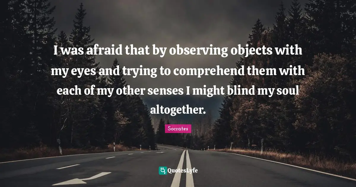 I was afraid that by observing objects with my eyes and trying to comprehend them with each of my other senses I might blind my soul altogether.