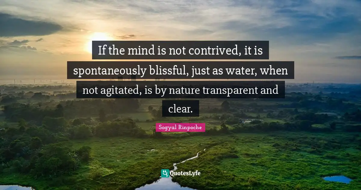 Sogyal Rinpoche Quotes: "If the mind is not contrived, it is spontaneously blissful, just as water, when not agitated, is by nature transparent and clear."