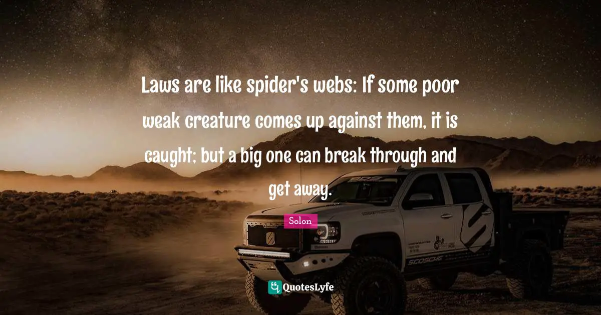 Spiders Quotes: "Laws are like spider's webs: If some poor weak creature comes up against them, it is caught; but a big one can break through and get away."
