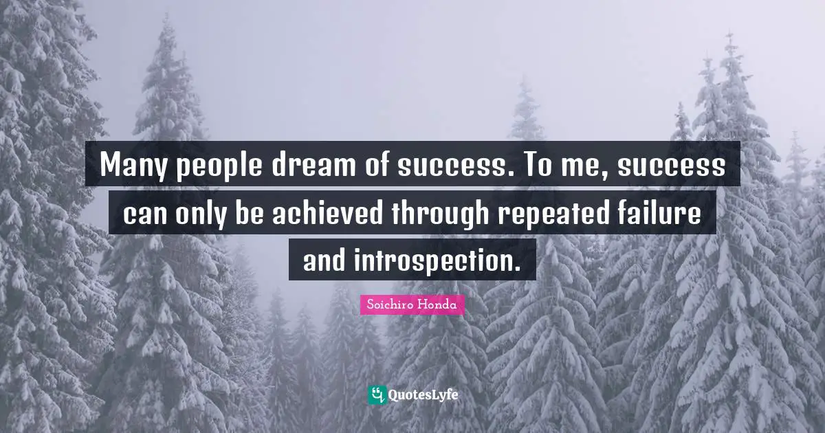 Many people dream of success. To me, success can only be achieved through repeated failure and introspection.