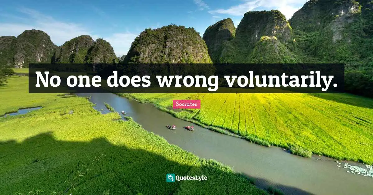 No one does wrong voluntarily.
