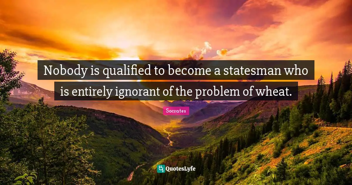 Nobody is qualified to become a statesman who is entirely ignorant of the problem of wheat.