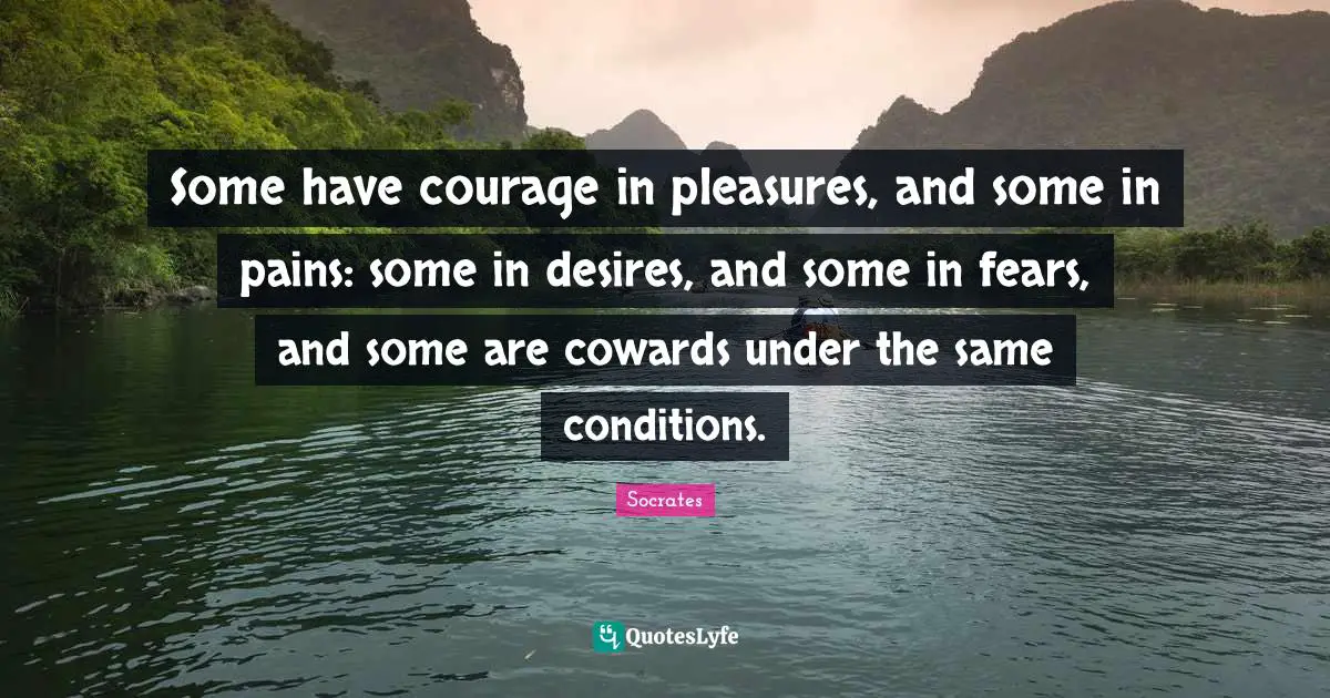 Some have courage in pleasures, and some in pains: some in desires, and some in fears, and some are cowards under the same conditions.