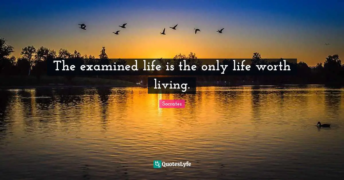 The examined life is the only life worth living.