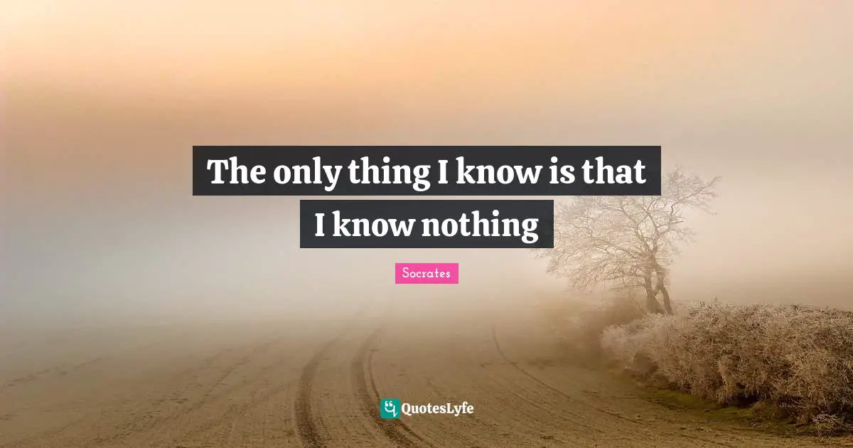 The only thing I know is that I know nothing