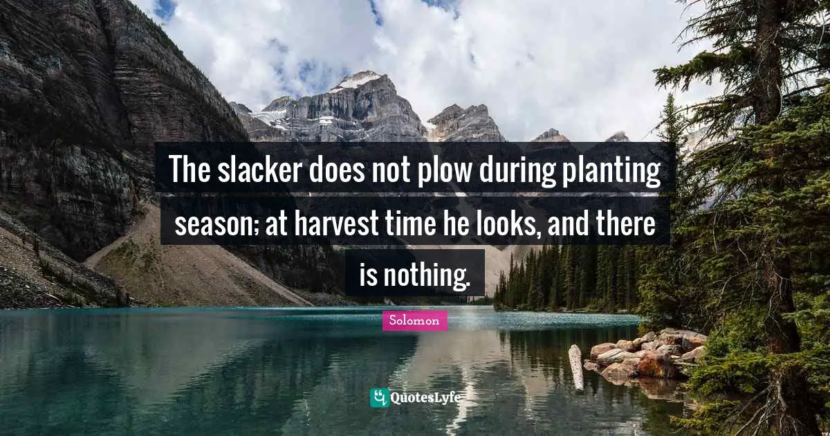 The slacker does not plow during planting season; at harvest time he looks, and there is nothing.