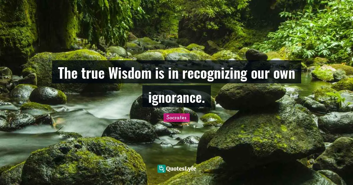 True Wisdom Quotes: "The true Wisdom is in recognizing our own ignorance."
