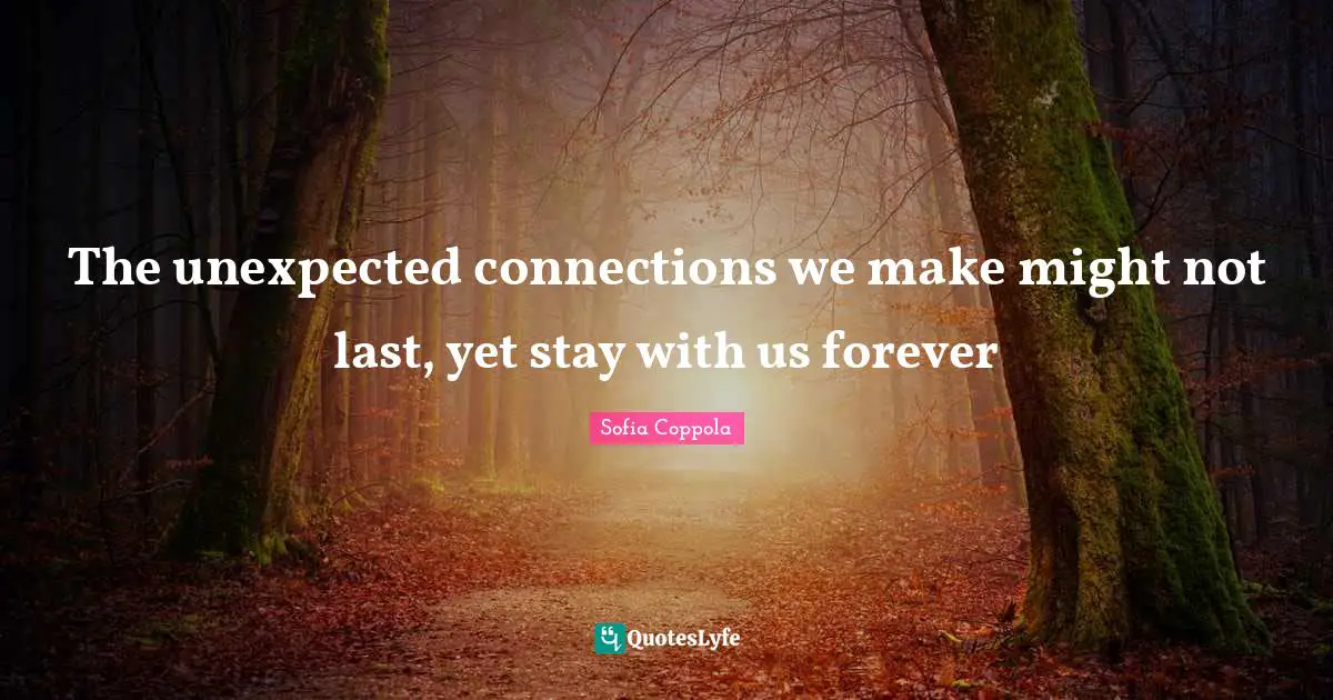 The unexpected connections we make might not last, yet stay with us forever