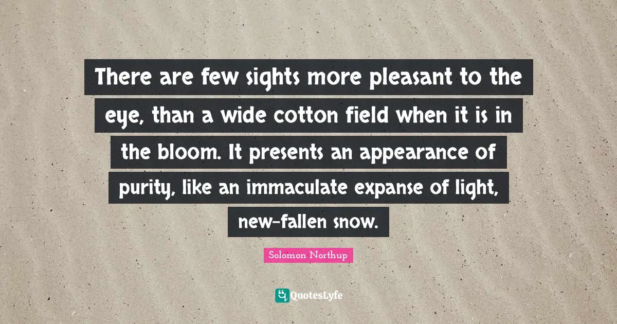 There are few sights more pleasant to the eye, than a wide cotton field when it is in the bloom. It presents an appearance of purity, like an immaculate expanse of light, new-fallen snow.