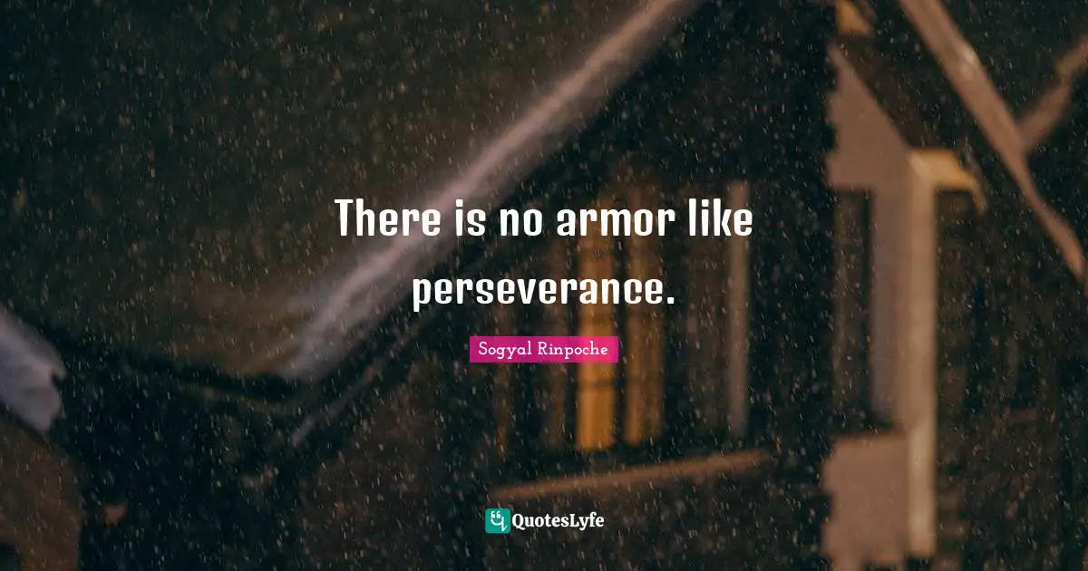 There is no armor like perseverance.