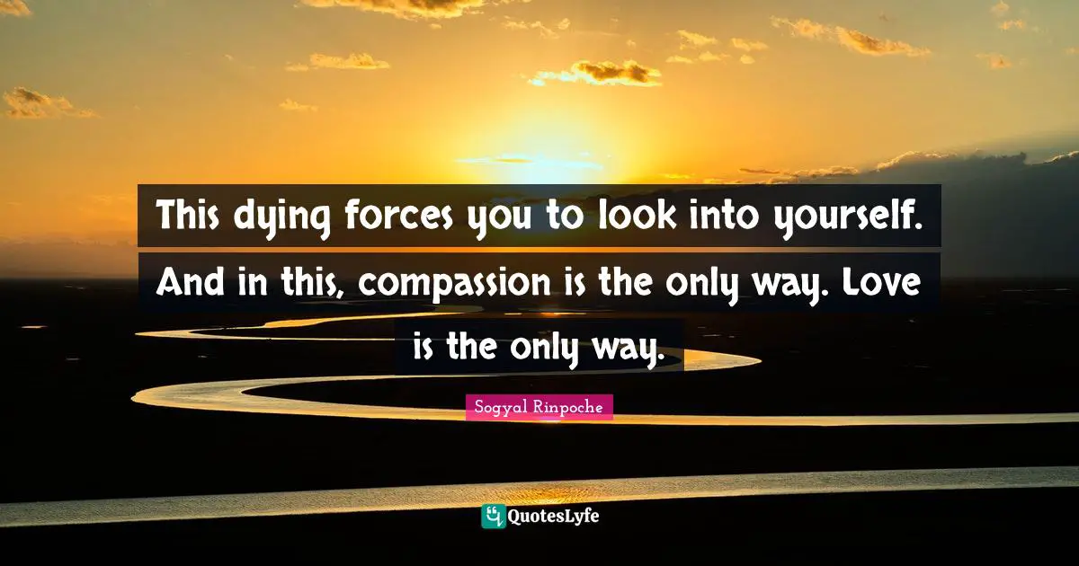 This dying forces you to look into yourself. And in this, compassion is the only way. Love is the only way.