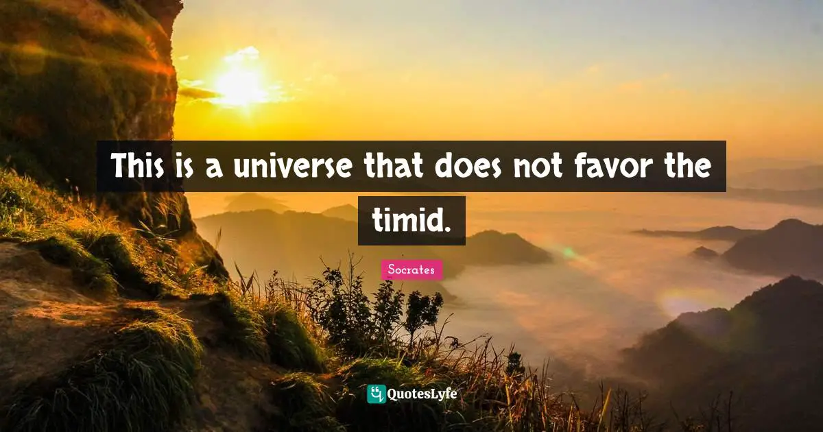 This is a universe that does not favor the timid.