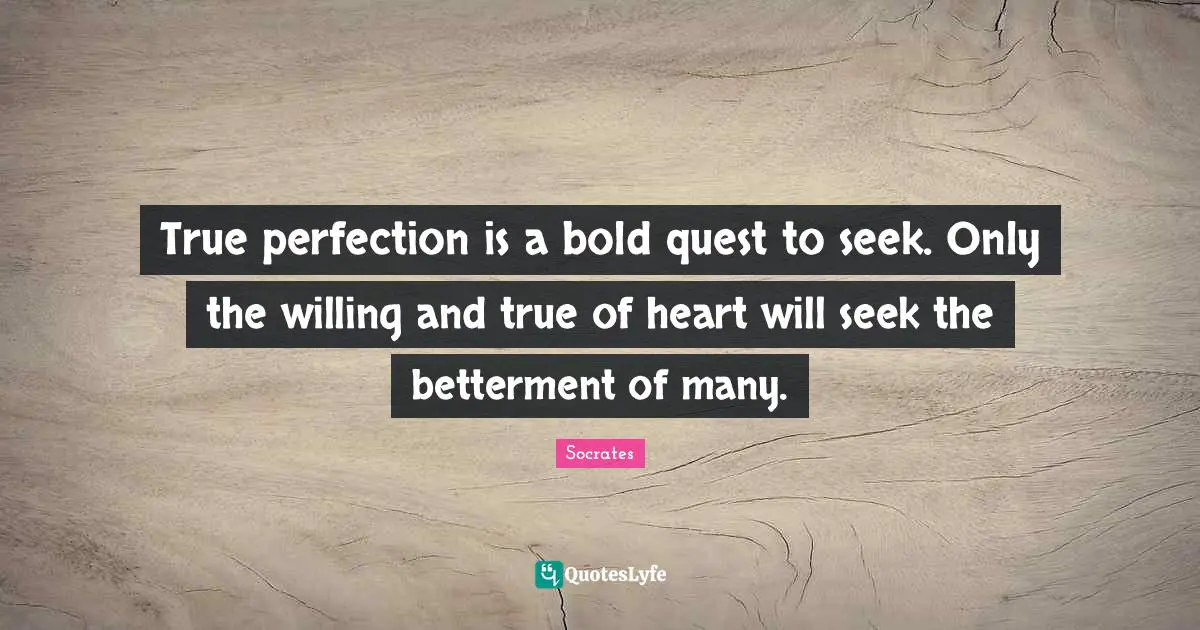 Betterment Quotes: "True perfection is a bold quest to seek. Only the willing and true of heart will seek the betterment of many."