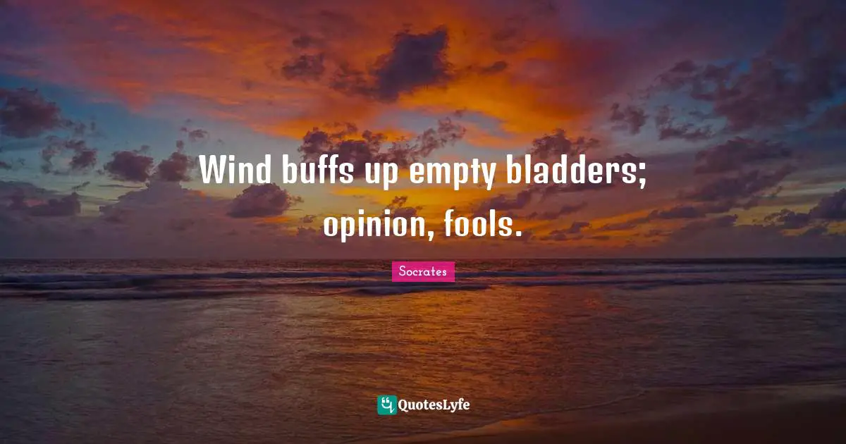 Wind buffs up empty bladders; opinion, fools.