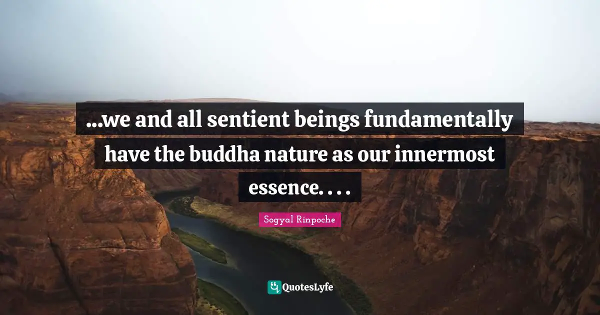 Sogyal Rinpoche Quotes: "...we and all sentient beings fundamentally have the buddha nature as our innermost essence. . . ."
